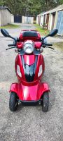 E-Scooter der Marke Grundig Brandenburg - Rheinsberg Vorschau