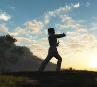 Neue Taiji quan / Taichi chuan -Kurs Oldenburg Niedersachsen - Oldenburg Vorschau