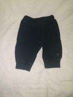 Jungen Jogginghose Gr. 62 blau Nordrhein-Westfalen - Bad Lippspringe Vorschau