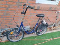 20 Zoll klappfahrrad blau Hamburg - Bergedorf Vorschau