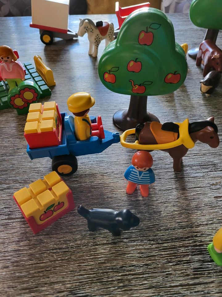 Playmobil 1,2,3 , großes Konvolut in Pappenheim