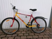 Stevens Mountainbike 26" Reifen 19“ Rahmen Niedersachsen - Barsinghausen Vorschau