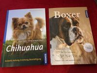 Verkaufe 2 ungelesene Bücher Chihuahua und Boxer je 6.€ Sachsen - Freiberg Vorschau