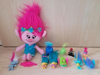 Trolls Paket mit Poppy Rheinland-Pfalz - Landau-Mörlheim Vorschau