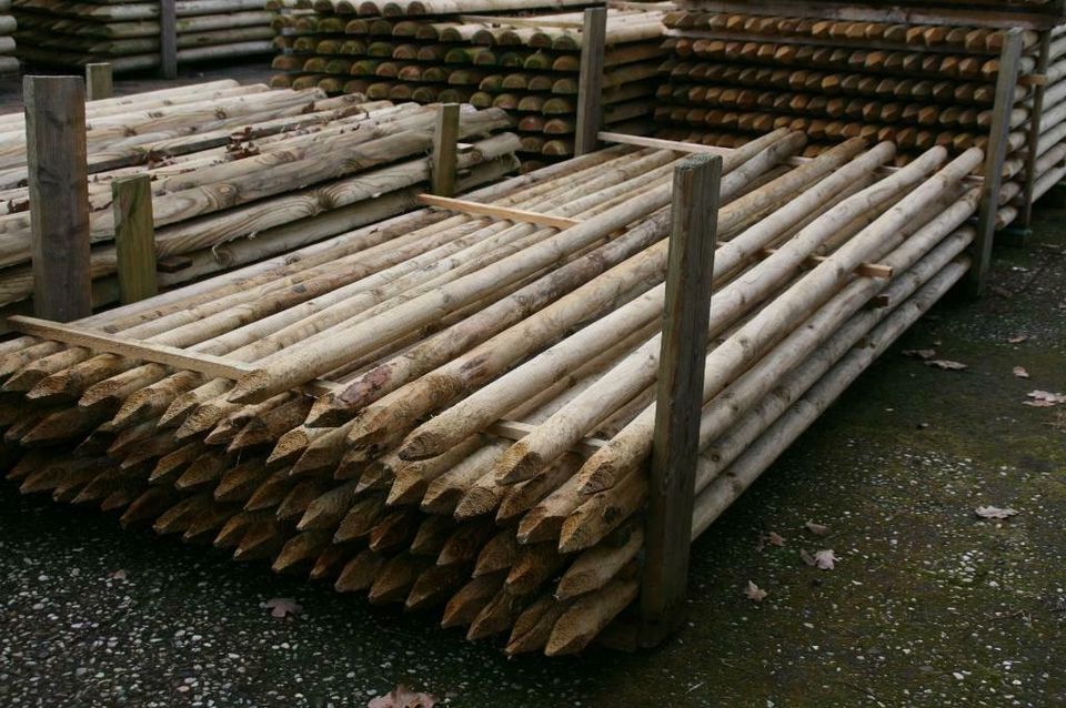 Baumpfähle - Zaunpfähle - Holzpfähle - 5 x 250 cm - imprägniert - in Wagenfeld