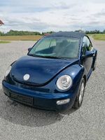 VW Beetle Cabrio Bayern - Landsberg (Lech) Vorschau