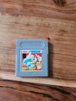 Nintendo Asterix & Obelix Gameboy Baden-Württemberg - Ravensburg Vorschau