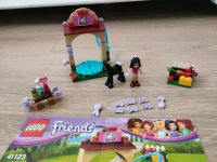 Lego Friends 41123 "Waschhäuschen für Emmas Fohlen" Dresden - Strehlen Vorschau