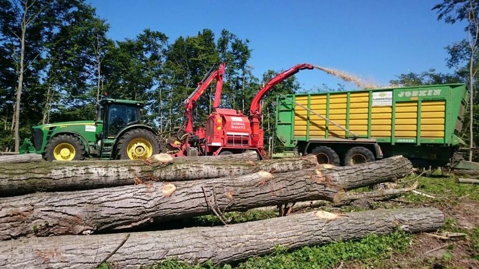 Holzhacken, Holzhäckseln, Forstarbeiten, Sturmschaden beseitigen in Rietberg