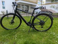 E-bike Cannondale Tesoro Neo SL EQ Hamburg-Mitte - Hamburg Hamm Vorschau