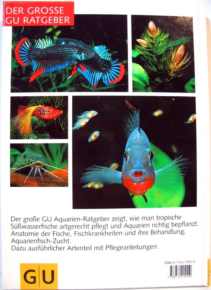 Wasserwelt Aquarium - Der große GU Ratgeber - Ulrich Schliewen in Biebesheim