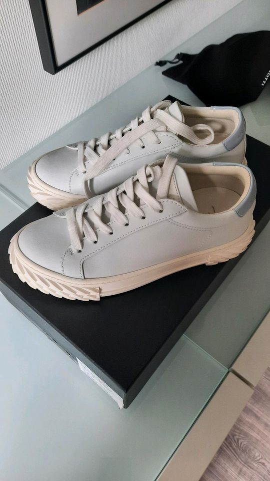 Sneaker von Giuseppe Zanotti in 36 in Aachen