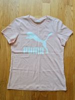 Puma Damen Shirt M neu!❤️ Schleswig-Holstein - Norderstedt Vorschau