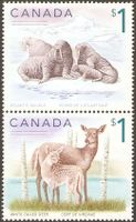 Kanada 2299-2300 ° Tiere Fauna - Weißwedelhirsch Walross Robben Nordrhein-Westfalen - Kamen Vorschau