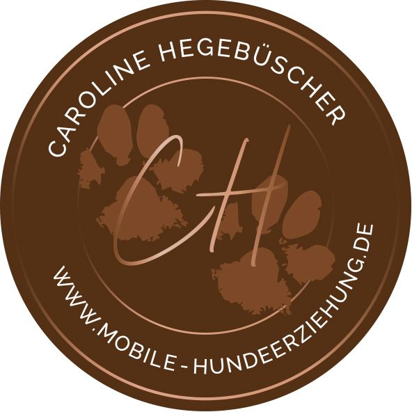 Einzeltraining, Hundeschule, mobiles Hundetraining, Hundetraining in Soest