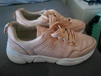 Sneaker & Wanderschuhe Dresden - Blasewitz Vorschau
