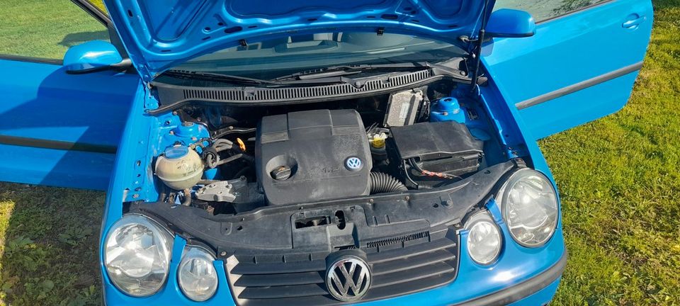 Volkswagen Polo 1.2 Basis Basis in Isny im Allgäu