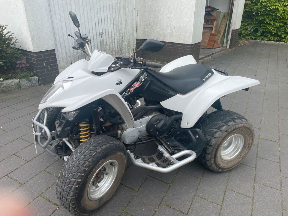 Quad Kymco Maxxer 250 (Automatik) in Ellerau 