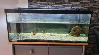 160l Aquarium Komplettset Saarland - Illingen Vorschau