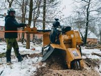 Baumfällung Wurzelfräsen Stubbenfräsen Wurzel Baum fällen Brandenburg - Vetschau Vorschau