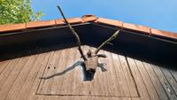 1 furchtbare Holzskulptur Baden-Württemberg - Ostfildern Vorschau