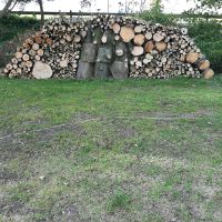 Ca. 4 Kubik Holz Ahorn Weide ( größter Anteil Kastanie) Sylt - Westerland Vorschau
