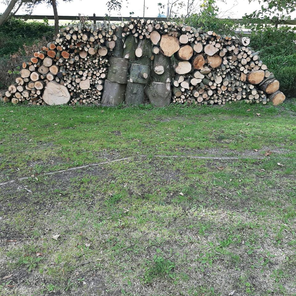 Ca. 4 Kubik Holz Ahorn Weide ( größter Anteil Kastanie) in Westerland
