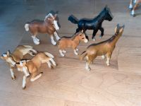 6 Schleich Pferde Fohlen Hessen - Lützelbach Vorschau