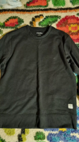 JACK & JONES Male Sweatshirt Basic L Stuttgart - Bad Cannstatt Vorschau