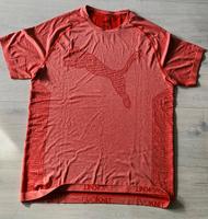 T - shirt   PUMA Bayern - Forchheim Vorschau