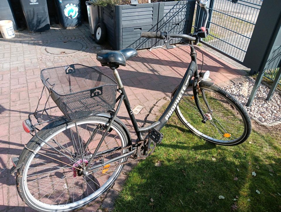 gebrauchtes Damenrad 28er in Oranienburg