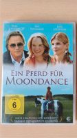 Ein Pferd für Moondance Rheinland-Pfalz - Gau-Bickelheim Vorschau