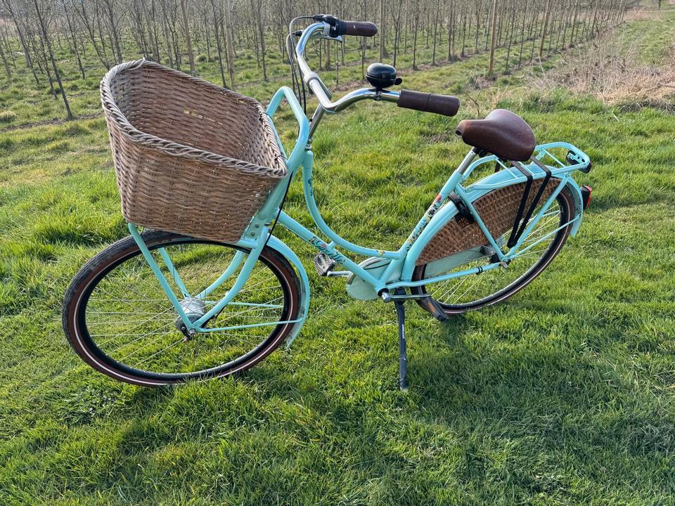 Gazelle 28“ Classic LMTD (Blumen) Edition Mint Hollandrad Korb in Jork