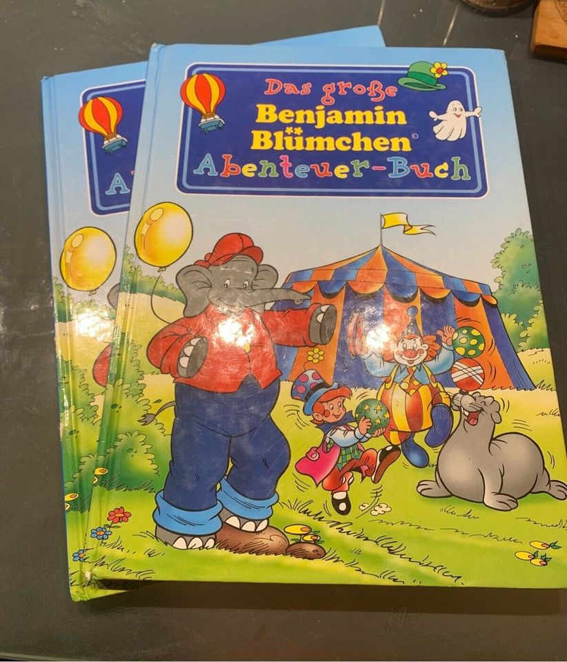 2 x Das große Benjamin Blümchen Abenteuerbuch in Vierhöfen
