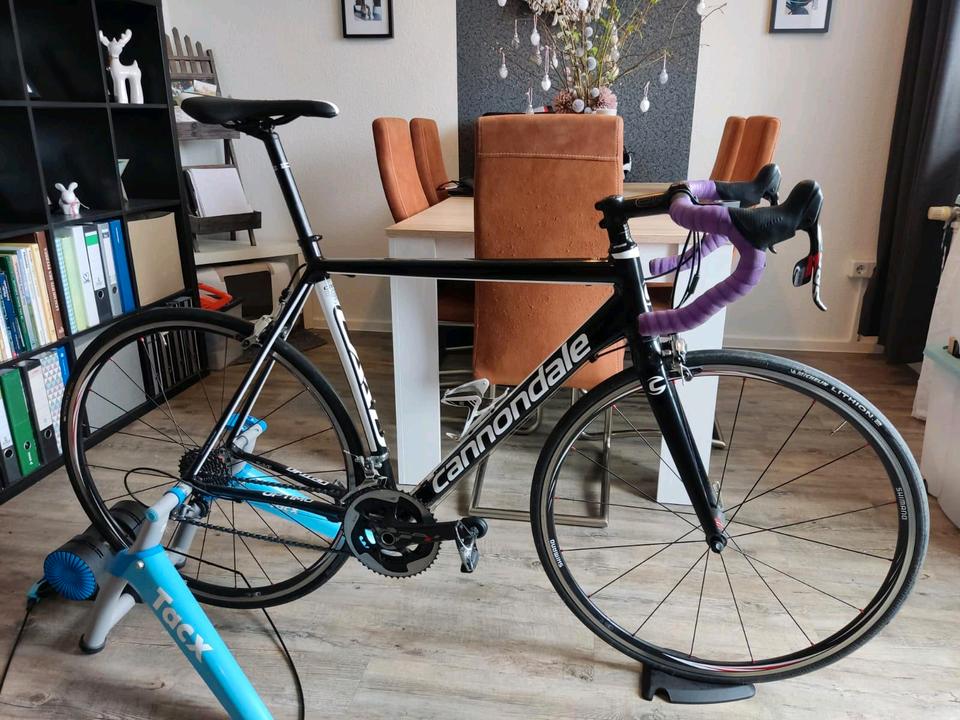 Cannondale Caad Optimo + Tacx Rolle (SRAM Red, Shimano, Rennrad) in Körner