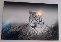 Bild Tiger auf Holz gedruckt Hessen - Erlensee Vorschau