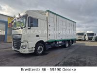 DAF XF 460 FAR,Viehtransporter,3 Stock Menke Janzen Nordrhein-Westfalen - Geseke Vorschau