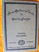 Krankheiten und Feinde der Gemüsepflanzen / 1924 Rheinland-Pfalz - Lingenfeld Vorschau