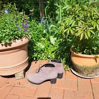 Stiefeletten von Gabor  NEU Schleswig-Holstein - Glückstadt Vorschau