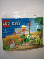 Lego Polybag 30590 Stück 3,50€ alle 10 Stück für 30€ Leipzig - Kleinzschocher Vorschau