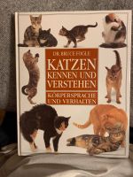 Katzen kennen und verstehen Brandenburg - Perleberg Vorschau