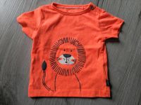 T-Shirt, orange, Löwe, Staccato, Größe 68 Niedersachsen - Wienhausen Vorschau