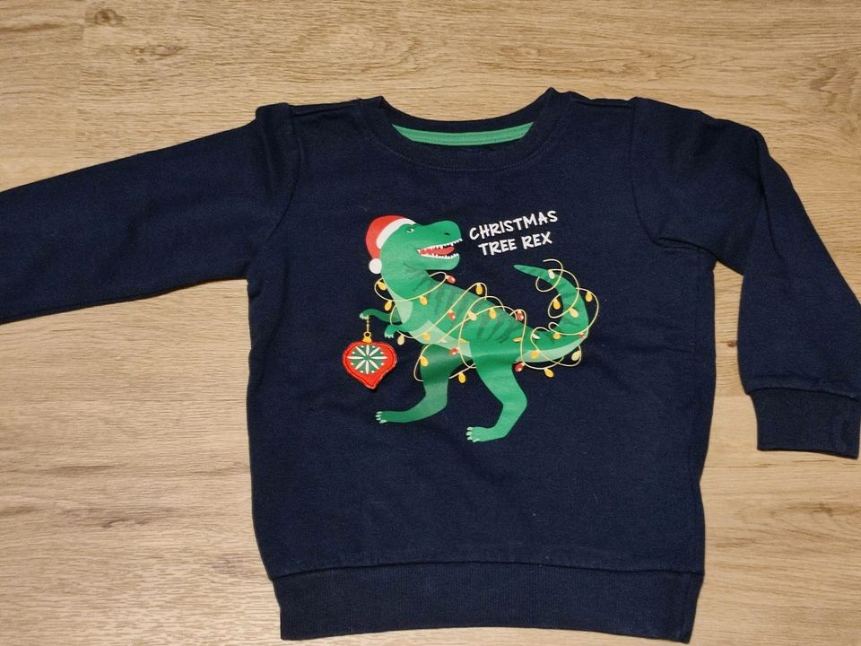 ❤️ Winter Pullover Langarmshirt gr 98/104 Disney,Olaf,H&M,T-Rex❤️ in Bad Zwischenahn