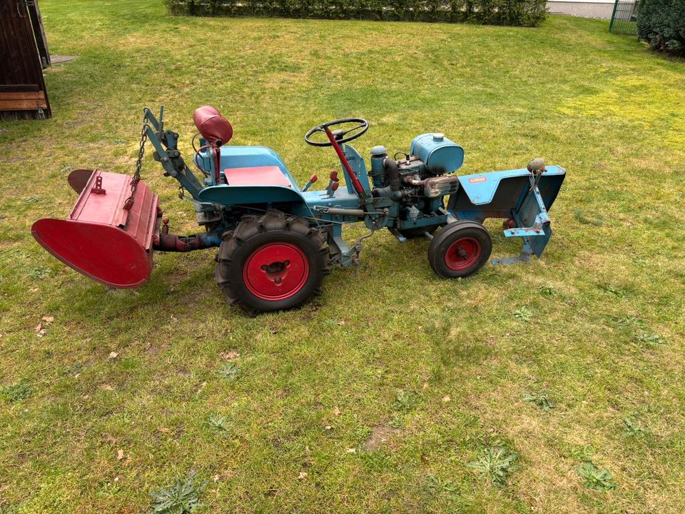 Traktor Gutbrod 1030 mit Bodenfräse in Halle (Westfalen)