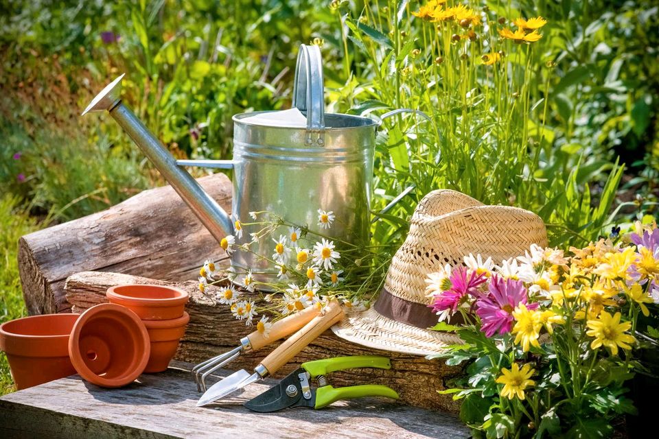 Suchen Garten/Kleingarten/Grundstück in Bad Harzburg