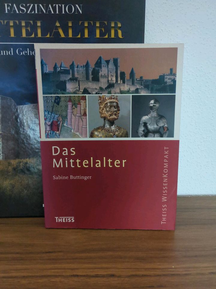 Faszination Mittelalter Rätsel Geheimnisse Epoche Buch Bücher in Straßkirchen