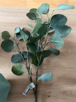 Eukalyptus Kunstpflanze Ikea Bayern - Veitshöchheim Vorschau