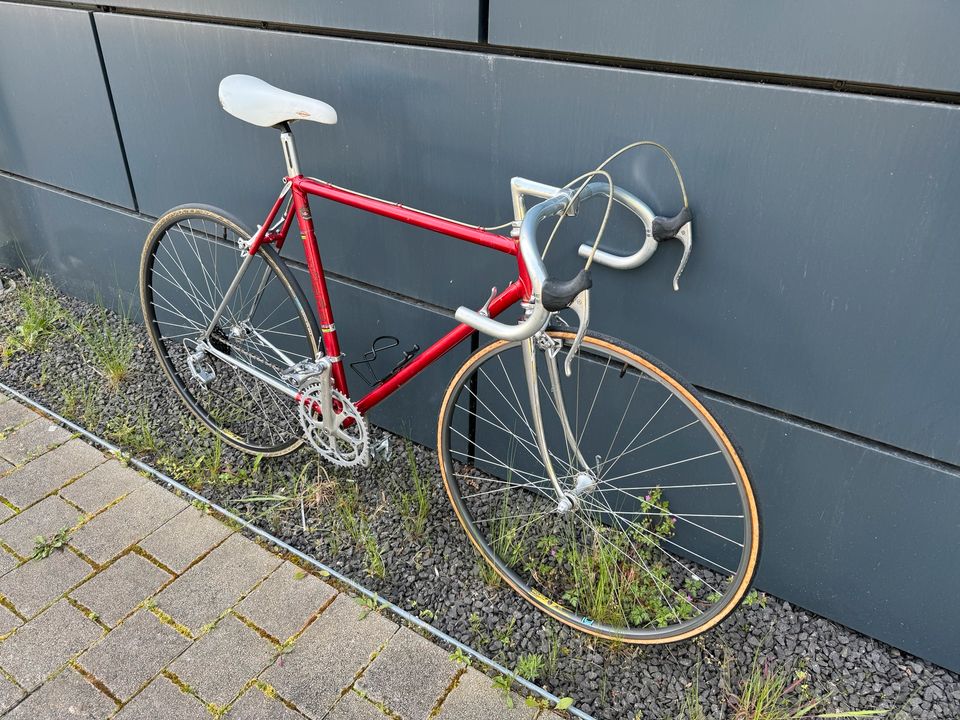 VICINI RENNRAD CAMPAGNOLO VINTAGE in Ludwigshafen