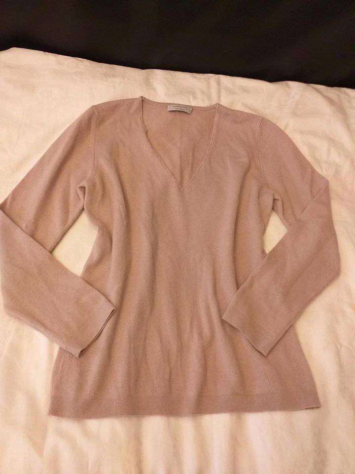 Rene Lezard 100% Kaschmir Pullover. Gr.L. Top Zustand. Hohe NP in Nürnberg (Mittelfr)