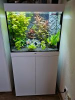 Juwel Aquarium Lido 200 LED *5 Wochen alt* Nordrhein-Westfalen - Rösrath Vorschau